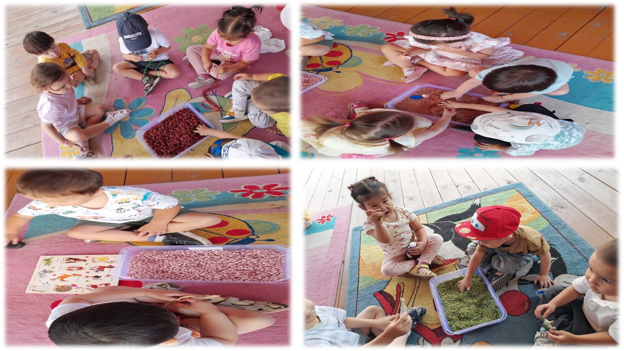 БАЛАЛАРМЕН ЖҮРГІЗІЛГЕН ЖҰМЫСТАР